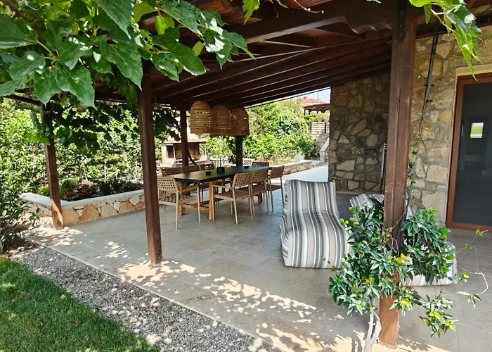 Andy's Place , By Halkidiki